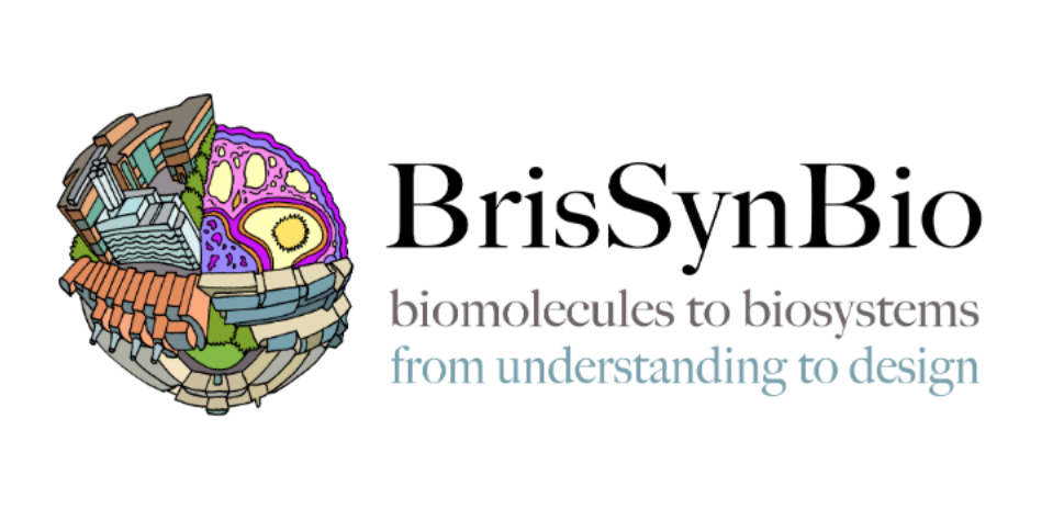 Logo of BrisSynBio